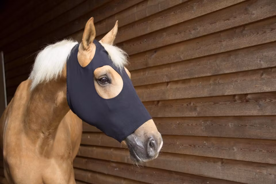 CATAGO FIR-Tech mask, svart stl. full & x-full