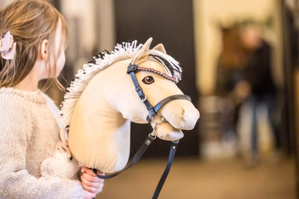 My Hobby Horse Pannband till käpphäst, svart med rosa stenar