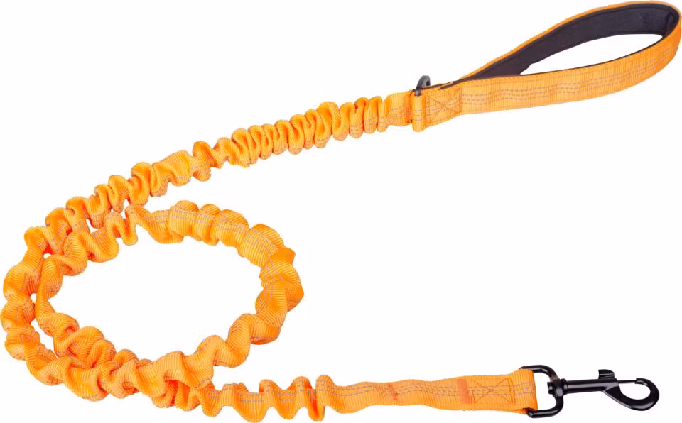 Companion Elastisk koppel Ø2,5 cm x 120 cm Orange