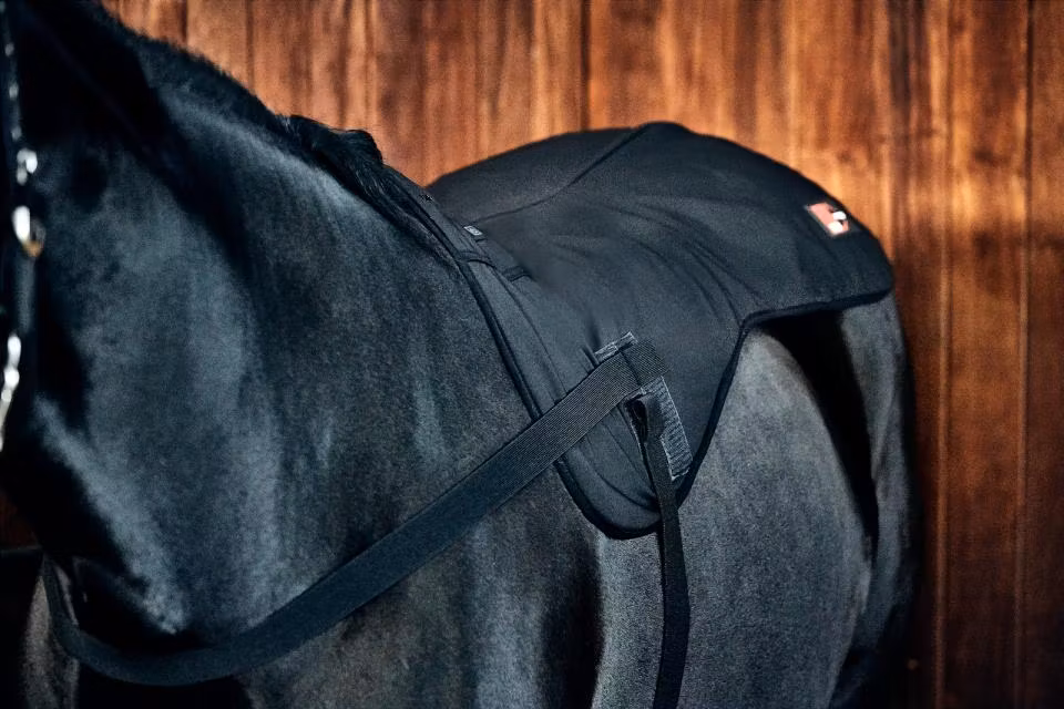 CATAGO FIR-Tech Pro uppvärmd ryggvärmare, svart, Onesize