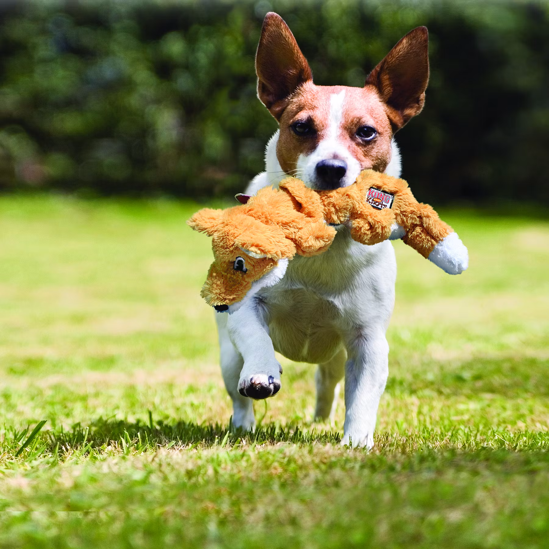 KONG HUND Scrunch Knots Fox Orange M/L