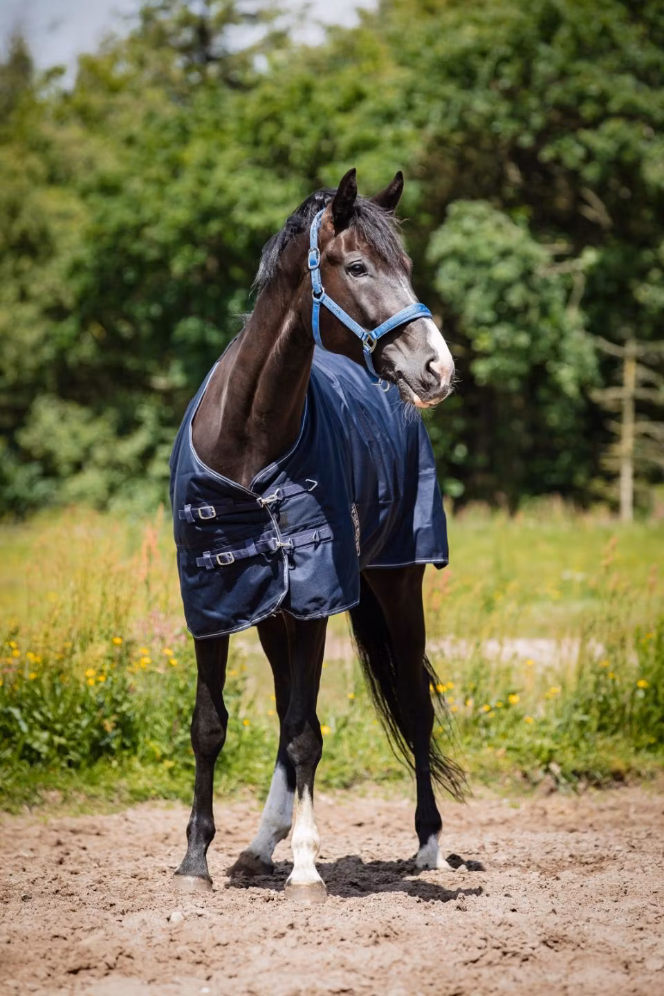 Horse Guard Landon 1200D Turnout täcke 200g