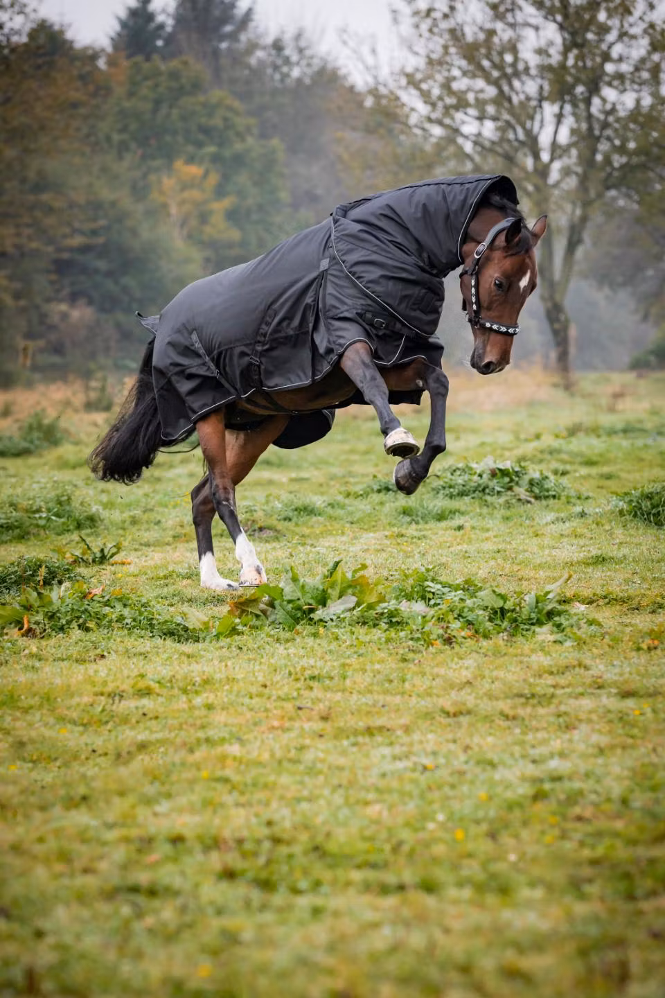 CATAGO Endurance 2.0 utetäcke 1680D, 150g