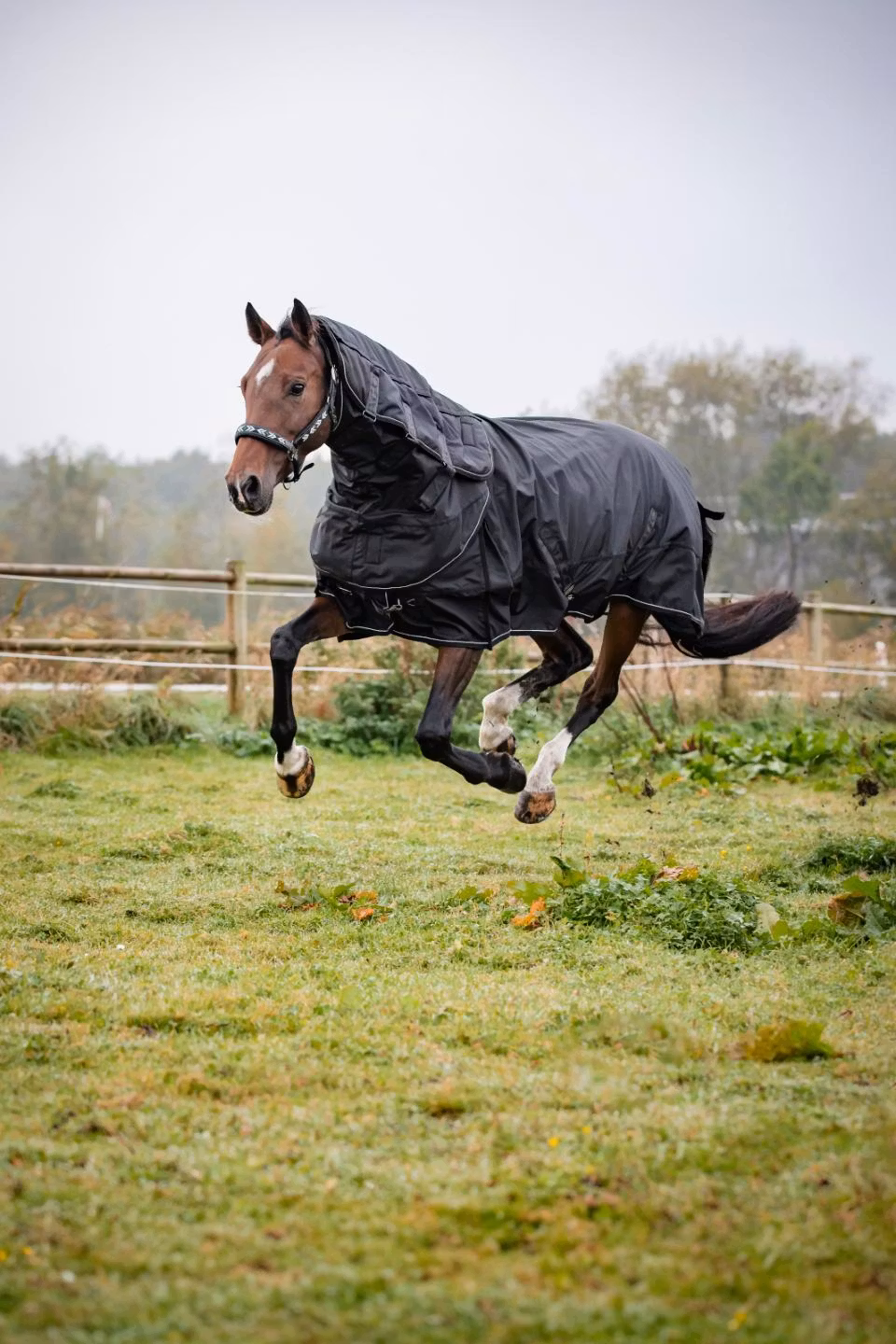 CATAGO Endurance 2.0 utetäcke 1680D, 150g