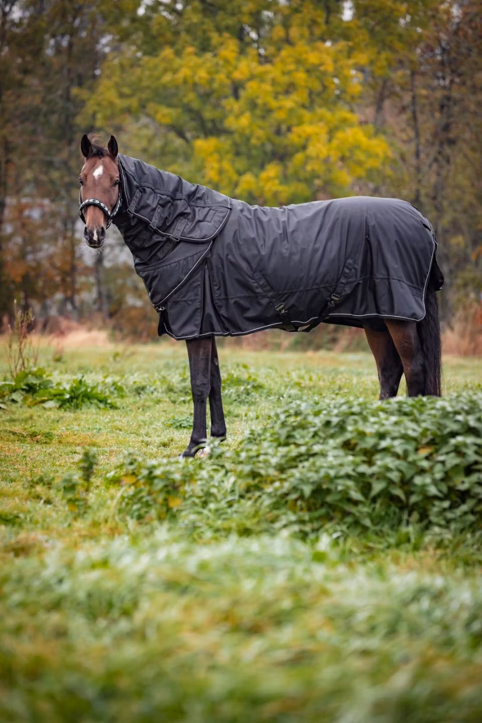 CATAGO Endurance 2.0 utetäcke 1680D, 150g