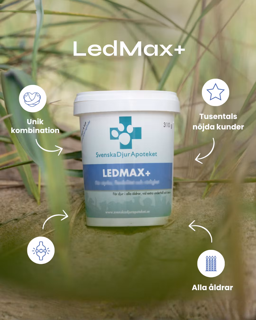 Svenska DjurApotekets LedMax+ Pulver 140g/310g/620g -ledtillskott