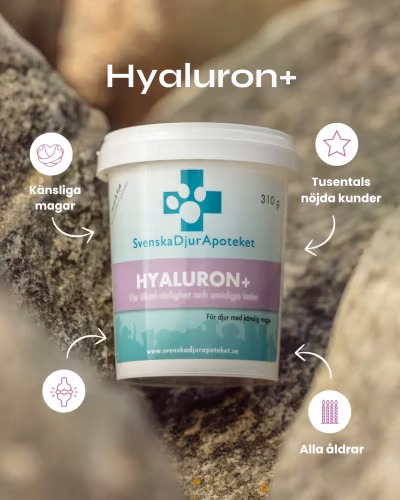 Svenska DjurApotekets Hyaluron+ ledprodukt för de med känslig mage. 310g