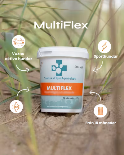 Svenska DjurApotekets MultiFlex - ledtillskott 140g / 310g/620g