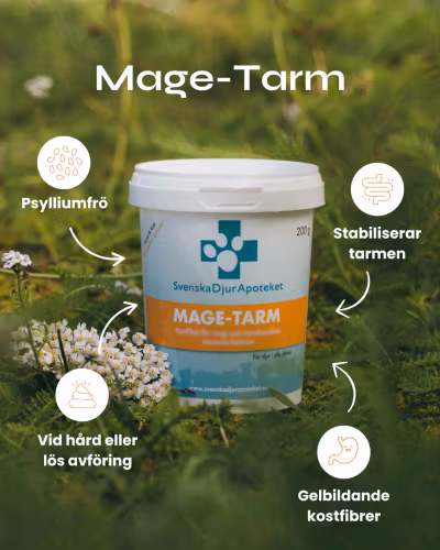 Svenska DjurApotekets Mage-Tarm 200g