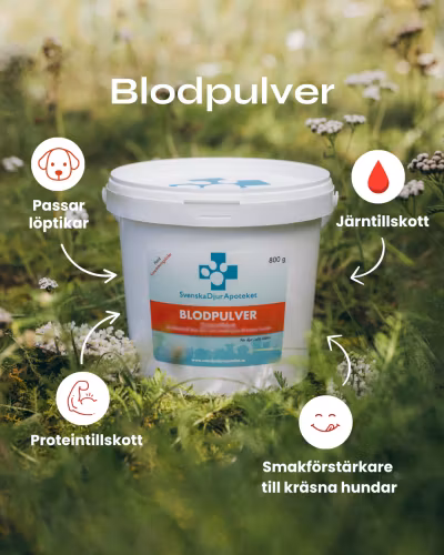 Svenska DjurApotekets Blodpulver 800g
