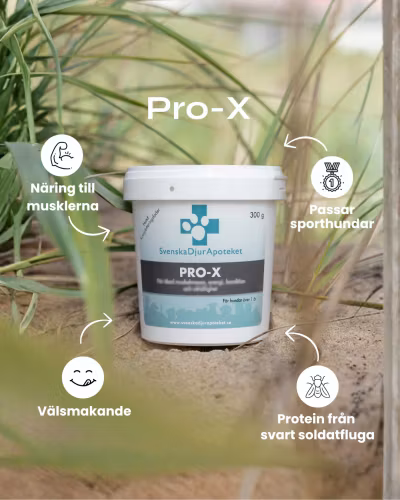 Svenska DjurApotekets Pro-X - proteinpulver 300g/900g