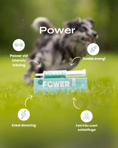 Svenska DjurApoteket POWER 60 gram- Snabb energi!!