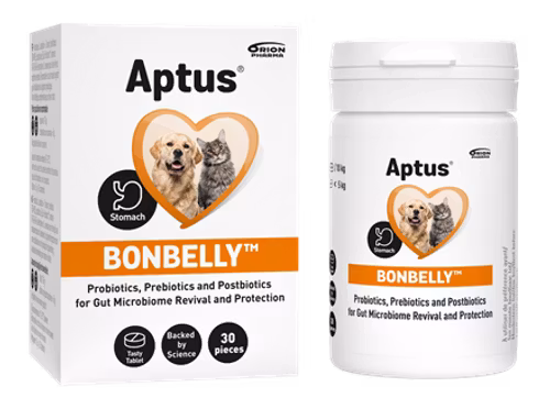 Aptus® Bonbelly™ 30 tabl - tarmbalans, matsmältning, immunitet