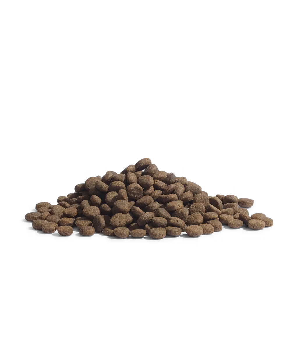 ESSENTIAL PANTHER lax & vit fisk -light/sterilized/older. Spannmålsfritt. 1,5 kg/3 kg