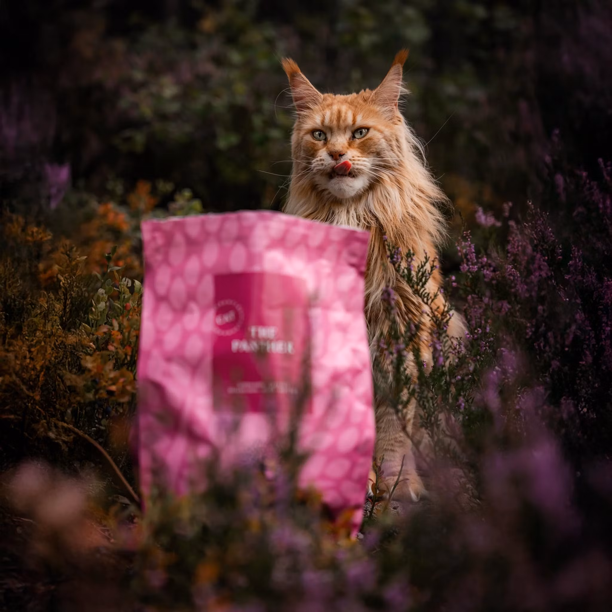 ESSENTIAL PANTHER lax & vit fisk -light/sterilized/older. Spannmålsfritt. 1,5 kg/3 kg