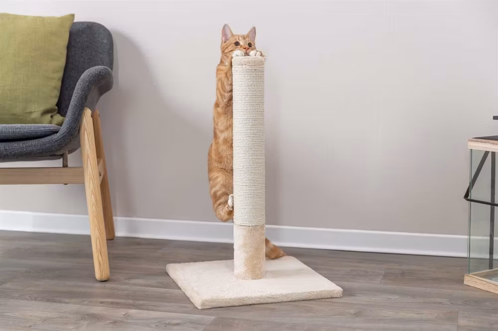 Klöspelare Batres, 62 cm, beige