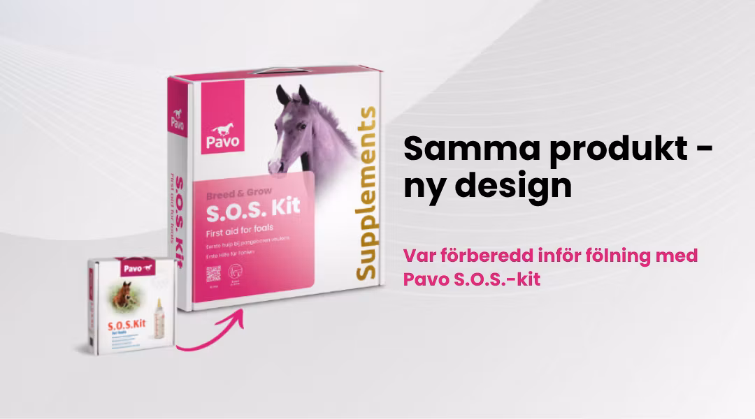 Pavo® SOS Kit - Överlevnadskit för föl