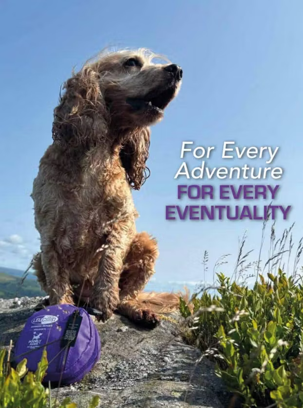 Första Hjälpen set - Leucillin