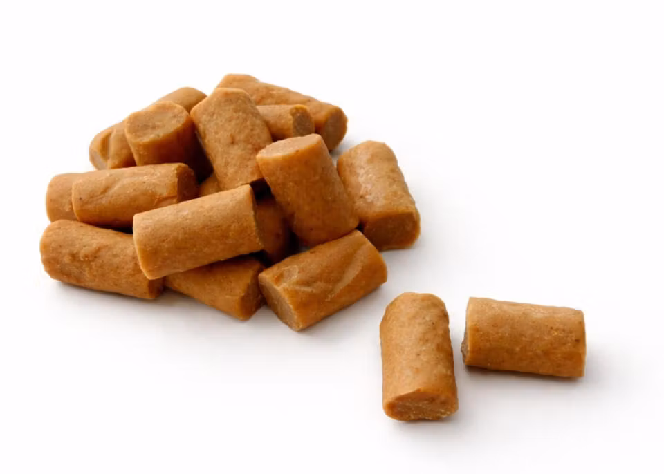 Companion Julens adventskalender Hund 100 g