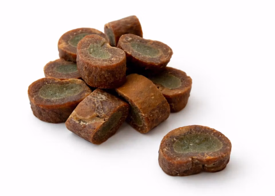 Companion Julens adventskalender Hund 100 g