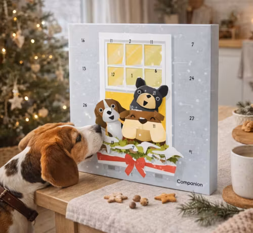 Companion Julens adventskalender Hund 100 g