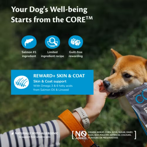 Wellness CORE Reward+ Skin & Coat, Soft Salmon Treats, Salmon - 170g Lax -Hundgodis 170g