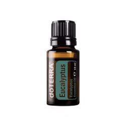 Eucalyptus 15 ml