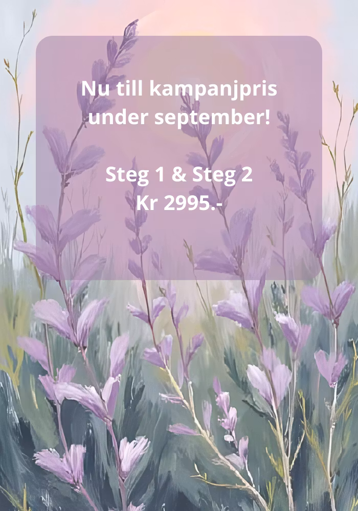 Höst pris under september! Steg 1 och Steg 2 för samma pris!