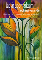 Jag är uppmärksam och närvarande - EBOK - Boken ger verktyg för att hantera stress, oro och ångest genom att återvända till närvarons kraft och finna frid i det som är här och nu!