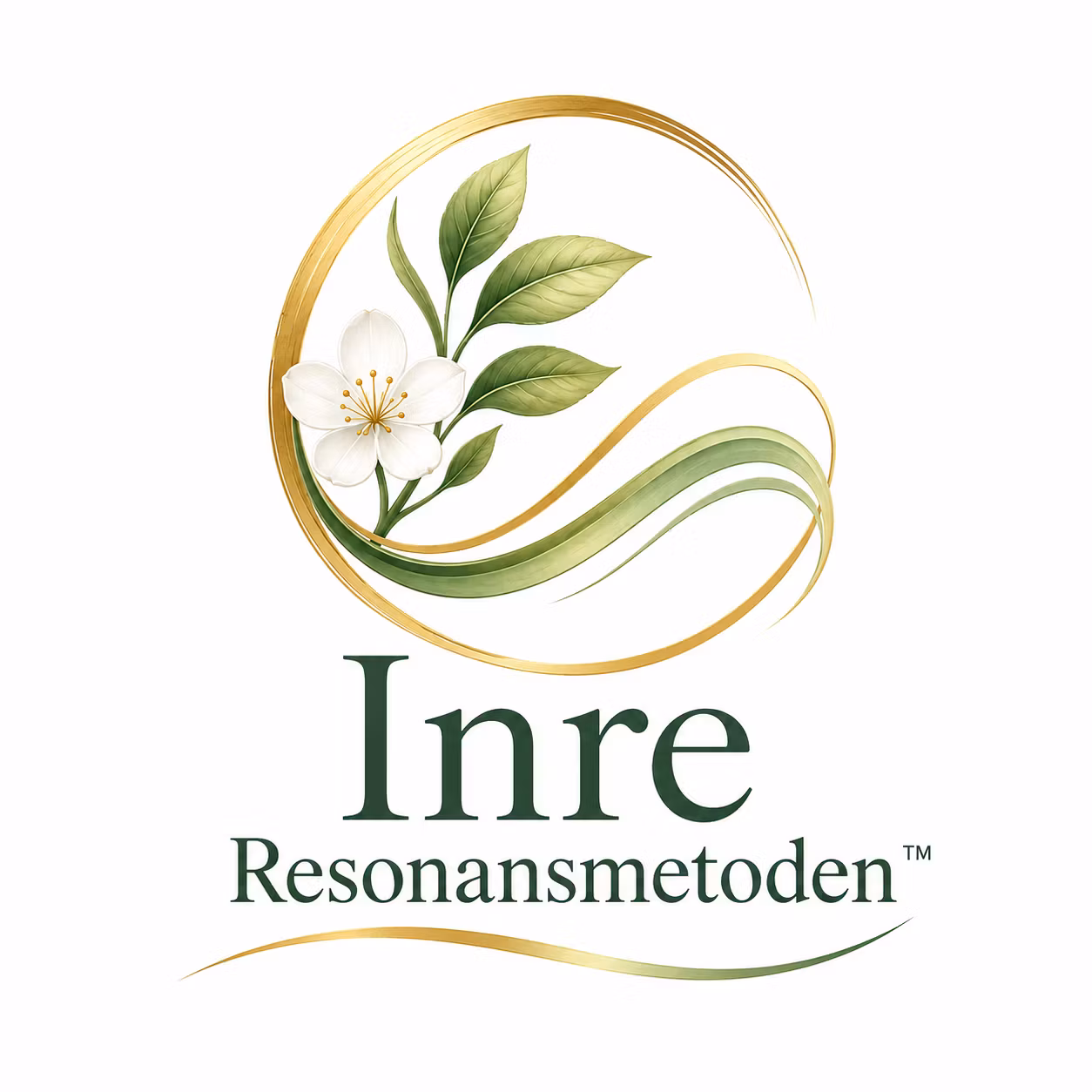 Inre Resonansmetoden™ - 5 steg till förändring inifrån