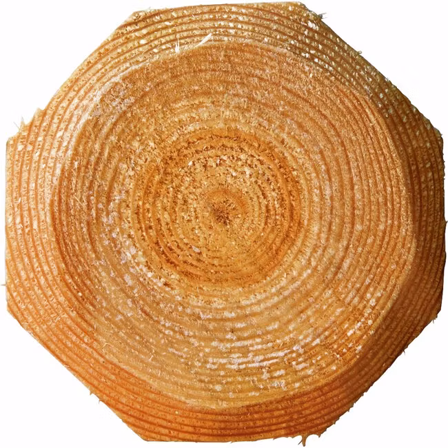 Trästolpe impregnerad - enstaka