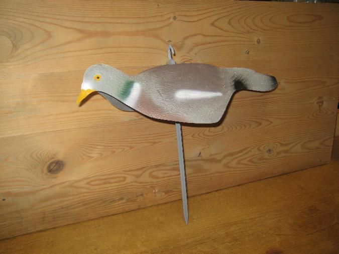 Duvskal