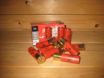 Winchester Buckshot 27H