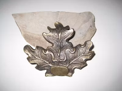 Bronslöv