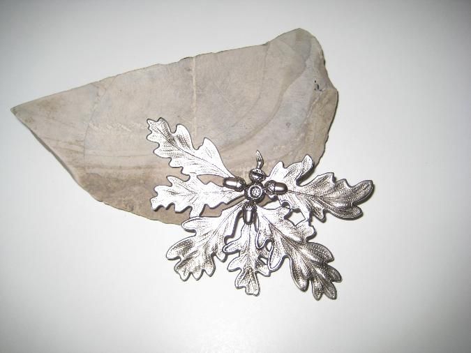 Silverlöv ekollon