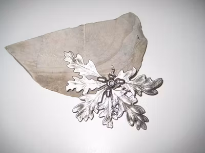 Silverlöv ekollon