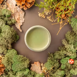 Dixie Belle CHALK Mineral Paint - Weeping Willow 945ml