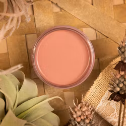 Dixie Belle SILK All-In-One DESERT ROSE 475ml