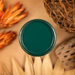 Dixie Belle SILK All-In-One MIDNIGHT GREEN 475ml