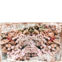 Re Design Tissue Paper - Beautiful Dreams PT 48x76cm