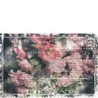 Re Design Tissue Paper - Celeste LT 48x76cm