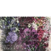 Re Design Tissue Paper - Giselle LT 48x76cm