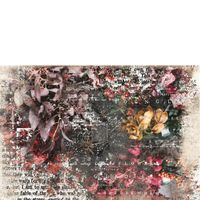 Re Design Tissue Paper - Iva LT 48x76cm