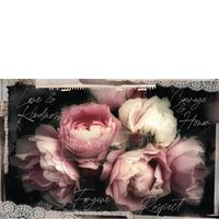 Re Design Tissue Paper - Zara PT 48x76cm