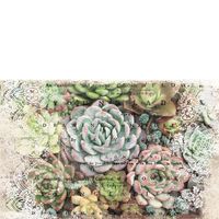 Re Design Tissue Paper -  Zuri PT 48x76cm