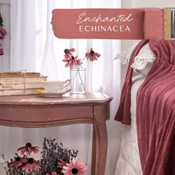 FUSION™ Mineral Paint - Enchanted Echinacea
