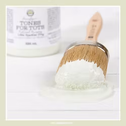 FUSION™ Mineral Paint - Little Speckled Frog