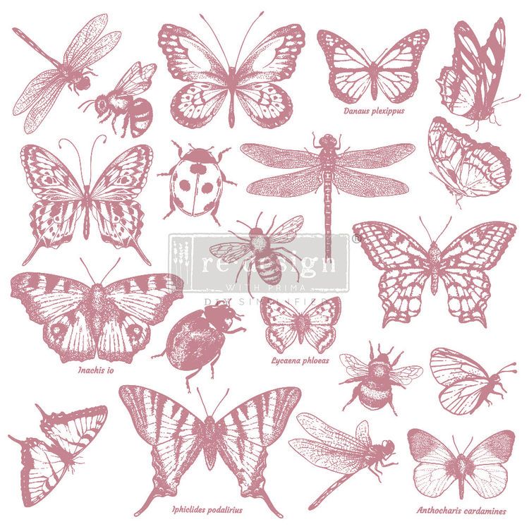 Re Design Dekorstämpel - Monarch Collection 30x30cm