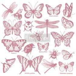 Re Design Dekorstämpel - Monarch Collection 30x30cm