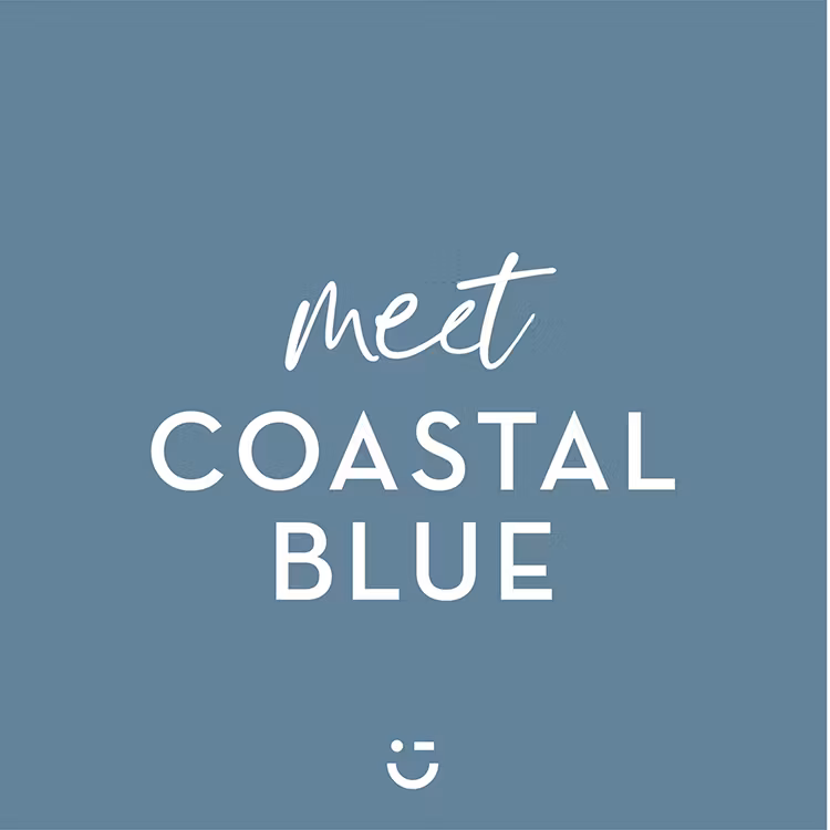 Milk Paint by FUSION™ -  Coastal Blue